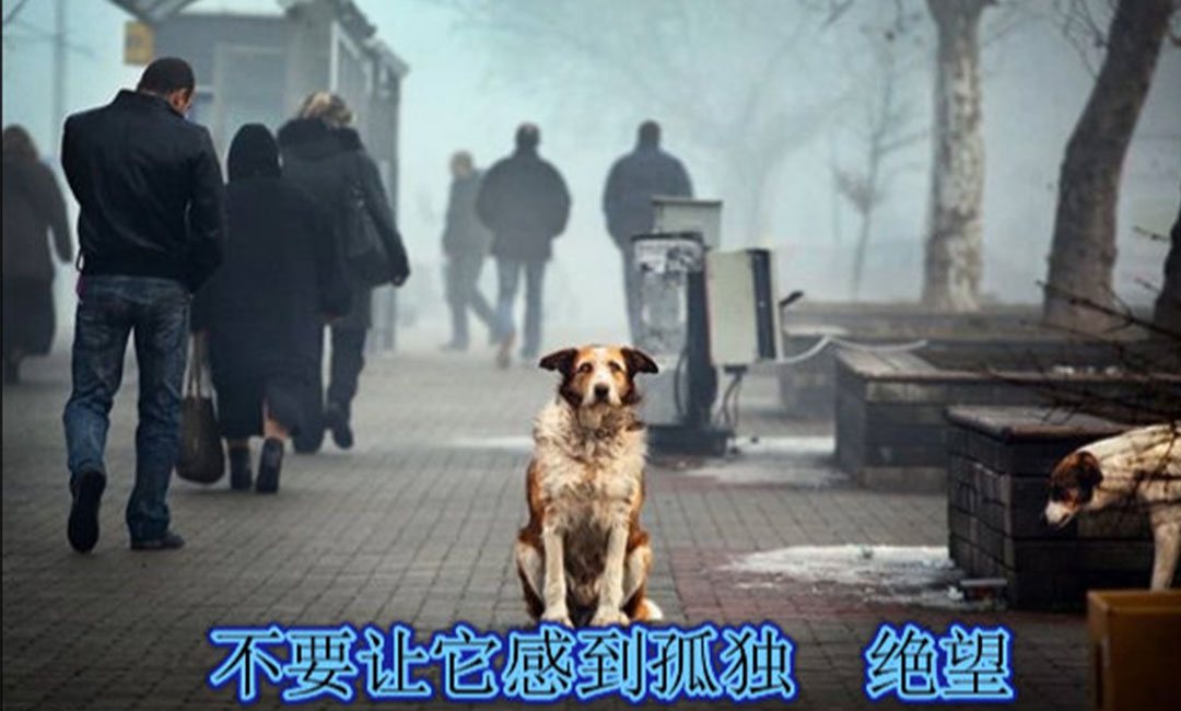 清远清远爱影圈微博微信转发案例
